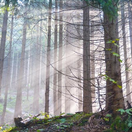 Landgasthof Falken Huttlingen Luaran gambar