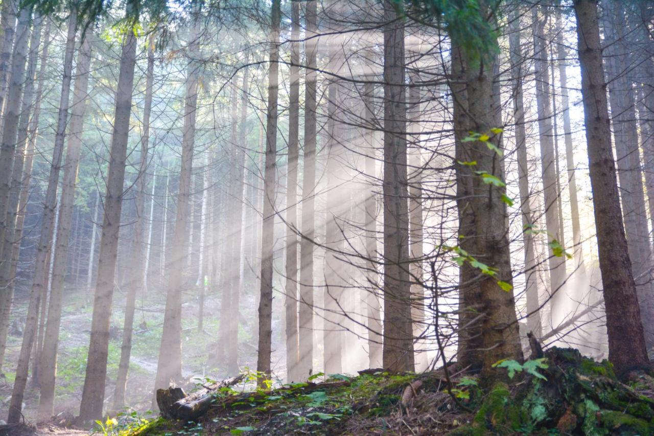 Landgasthof Falken Huttlingen Luaran gambar