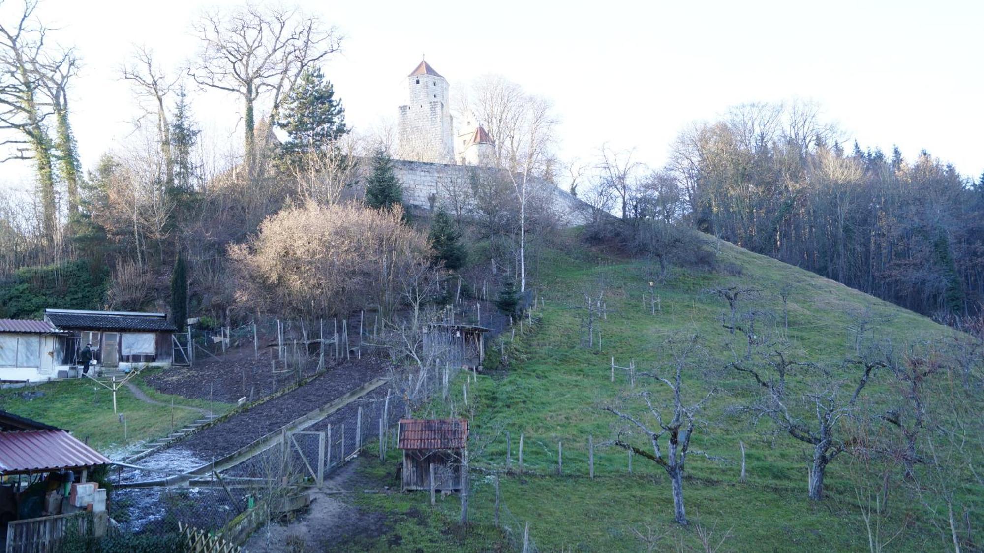 Landgasthof Falken Huttlingen Bilik gambar